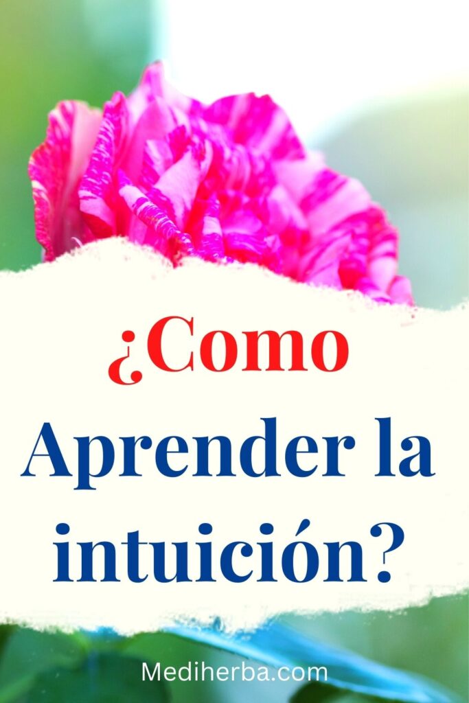 ¿Como Aprender la intuición? / Canva