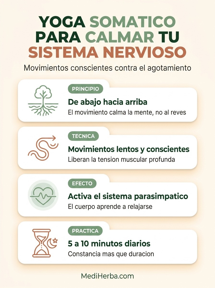 Infografía con cuatro tarjetas sobre yoga somático: principio, técnica, efecto y práctica diaria